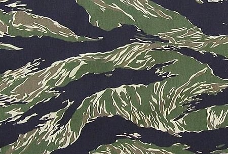 Vietnam Tiger Stripe